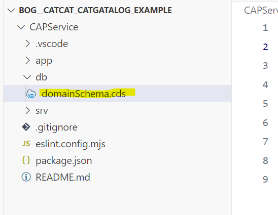 Creating a schema file domainSchema.cds under ./db/ folder (Photo by the author)