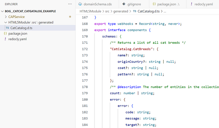 Typescript definition generated with SAP CAP - ready to use in any TypeScript-based codebase (Photo by the author)